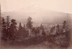 Mount Shasta av Carleton Watkins