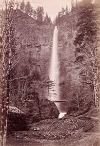 Multnomahfallen, 700 fot, Oregon av Carleton Watkins