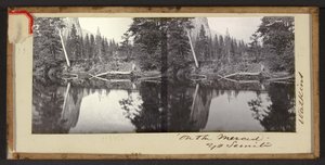 "On the Merced" Yo Semite