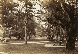 [Park nära Hotel del Monte, Monterey?] av Carleton Watkins