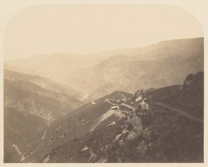 [Pine Tree Mine] av Carleton Watkins