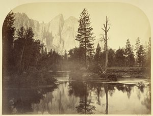Utsikt över floden - Ned genom dalen - Yosemite av Carleton Watkins