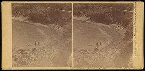 The Cove, S.F av Carleton Watkins