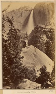 Övre Yosemitevallen av Carleton Watkins