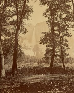[Yosemitefallen sedda underifrån] av Carleton Watkins