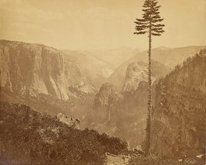 Yosemitedalen från Mariposaleden av Carleton Watkins