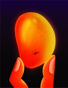 Amber, 2020 (digital illustration)