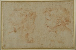 Studier av huvudet och vänster hand på en putto (röd krita på papper)