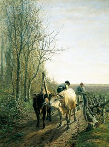 Förväntad skatt (oxar kopplade till vagnen)