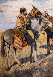 Don Quijote av Carlos Vazquez y Ubeda