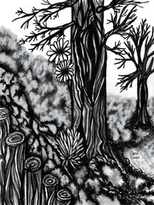 Digital kolritning 1