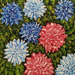 Blommor bland gräset
