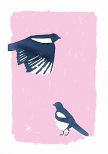 Pink Sky Magpies av Carola Cedell