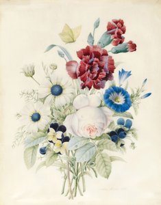 En spray av blommor inklusive en ros, en blå konvolvulus och penséer, 1830 (wc och kroppsfärg på papper)
