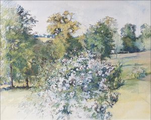Juni från Our Window, 2007 (pastell & wc på papper) av Caroline Hervey Bathurst