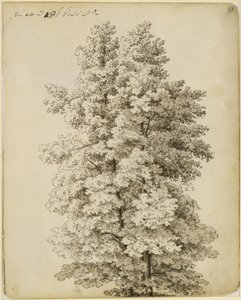 Trädgrupp av Caspar David Friedrich