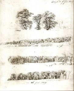 Studier av träd 1809 av Caspar David Friedrich