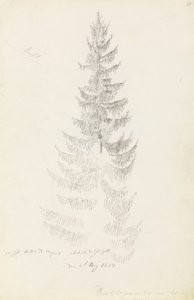 Gran av Caspar David Friedrich