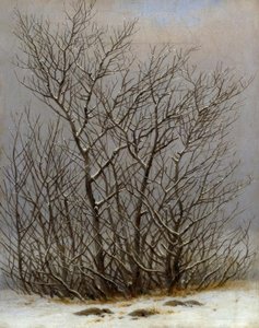 Buskar i snön av Caspar David Friedrich