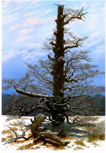 Tyska: Eichbaum im Schnee Ekträdet i snön av Caspar David Friedrich
