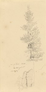 Tyska: Studie mit Fichten und Felsen Studie av granar och en sten av Caspar David Friedrich