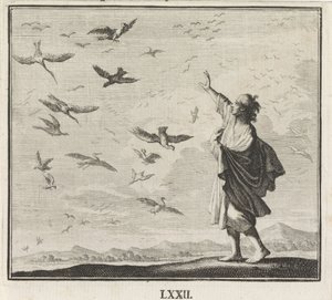 Emblem: fåglar av Caspar Luyken