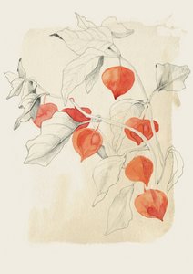 Skiss av en kinesisk lykta