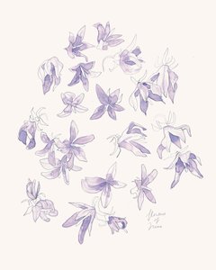 Fina lila blommor av Catalina Somolinos