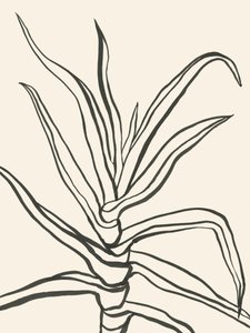 Minimalistisk växtöversikt