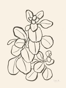 Teckning av ett ekologiskt blad