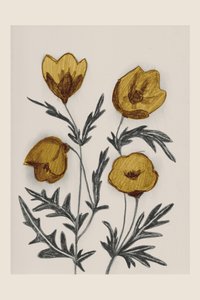Vintage-guldblommor av Catalina Somolinos