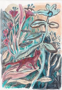 Den fantasifulla djungelkatten