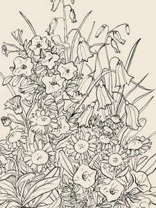 Vilda trädgårdsblommor av Catalina Somolinos