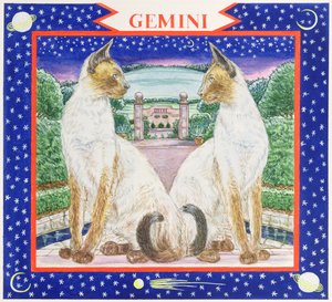 Gemini (wc på papper)