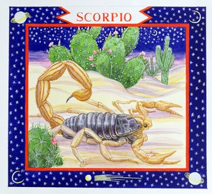 Scorpio (wc på papper)