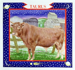 Taurus (wc på papper)