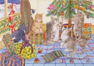 The Cats Christmas (wc på papper) av Catherine Bradbury