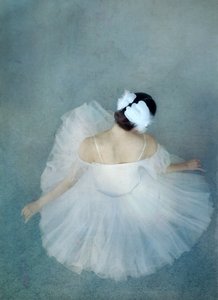 Elegant Ballerina Swan av Catherine Wang