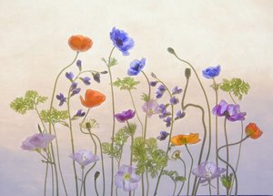 Den eteriska trädgården blommar