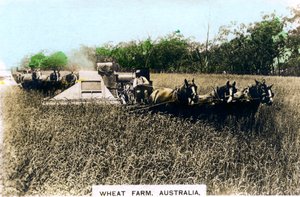 Grenfell wheat farm, Australien, c1920-talet.