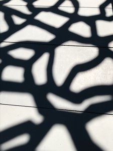 Sammansättning - Skuggor, 2021 (foto) av Cécile Jamet