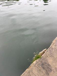 Sammansättning, 2019 (foto)