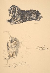 Spaniel and Chow, 1930, Illustrationer från hans skissbok som används för Just Among Friends, Aldin, Cecil Charles Windsor (1870-1935), senare publicerad av Eyre och Spottiswoode Limited, 1934, Chalk and Char av Cecil Charles Windsor Aldin