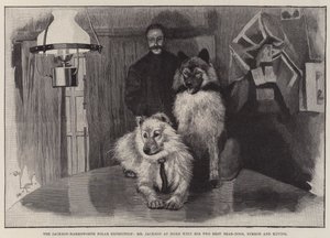 Jackson-Harmsworths polarexpedition, Mr Jackson hemma med sina två bästa björnhundar Nimrod och Raving av Cecil Charles Windsor Aldin