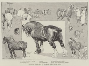 Shire Horse Show på Royal Agricultural Hall av Cecil Charles Windsor Aldin