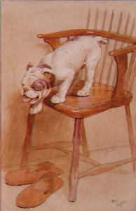 Att lära sig att beräkna höjden på föremål från toppen av vilka du kan hoppa av Cecil Charles Windsor Aldin