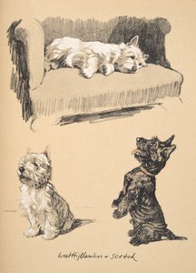 West Highlanders and Scotch, 1930, illustrationer från hans skissbok använd för Just Among Friends, senare publicerad av Eyre och Spottiswoode Limited, 1934 (krita och kol på papper)