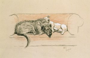 Varghund och bullterrier sover på en soffa (pastellfärgad på papper) av Cecil Charles Windsor Aldin