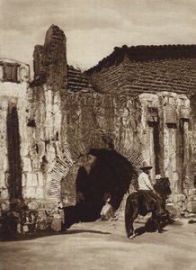 Mexiko: Oaxaca, Tuberia espanola (s/v foto)