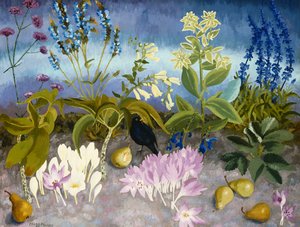Koltrasten och blommor